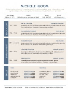 Organized resume template