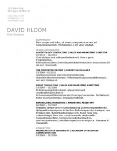 Technical specialist resume template
