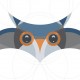 circular grid with adobe illustrator - an owl shape